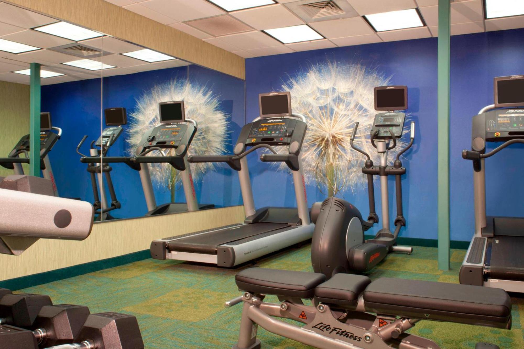 Springhill Suites Gainesville Dış mekan fotoğraf